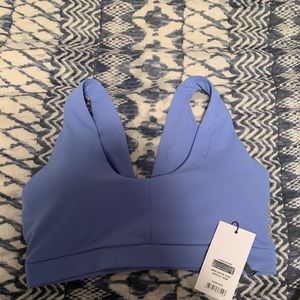 Whitney Simmons sports bra
